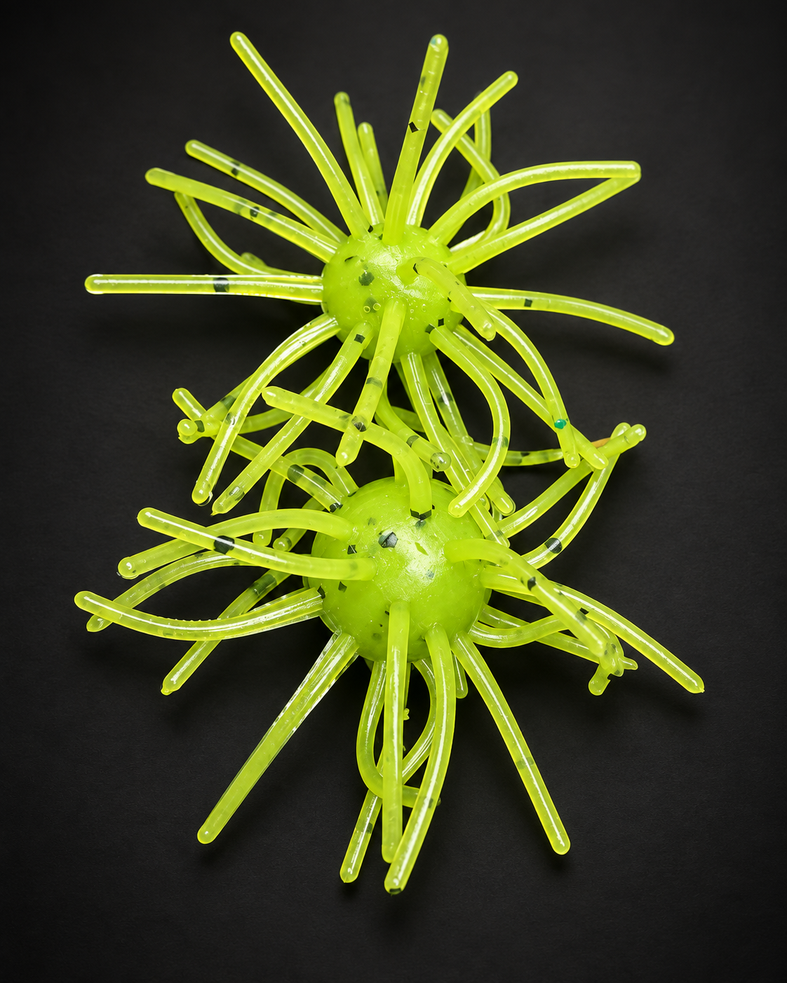 Booger – Urchin Bait